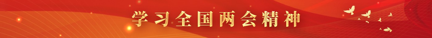學(xué)習(xí)全國兩會精神